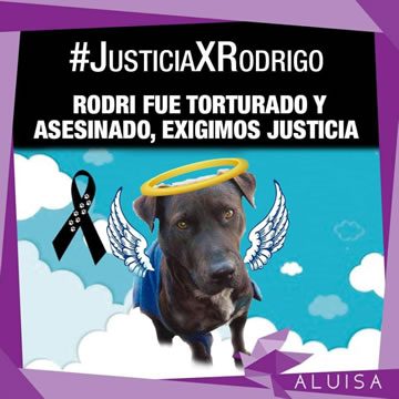 justiciaporrodrigo-aluisa-360x360