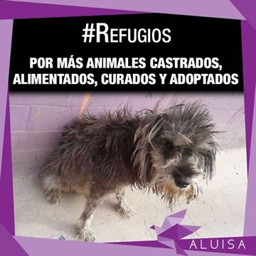 refugios-aluisa-360x360